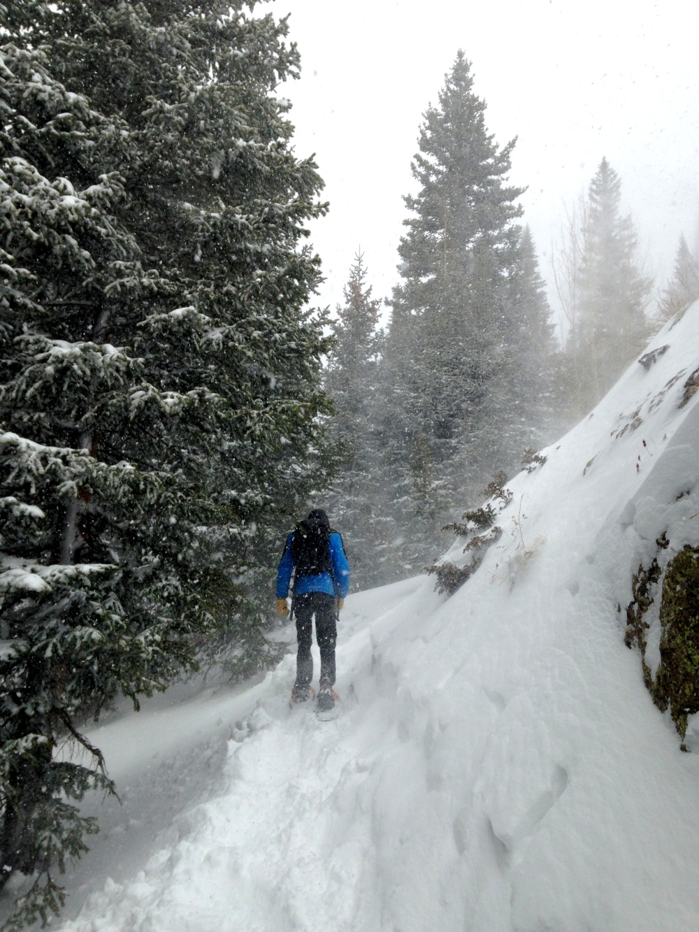 Tubbs Snowshoes Alps XL Trekking through Rocky Mountain National Park